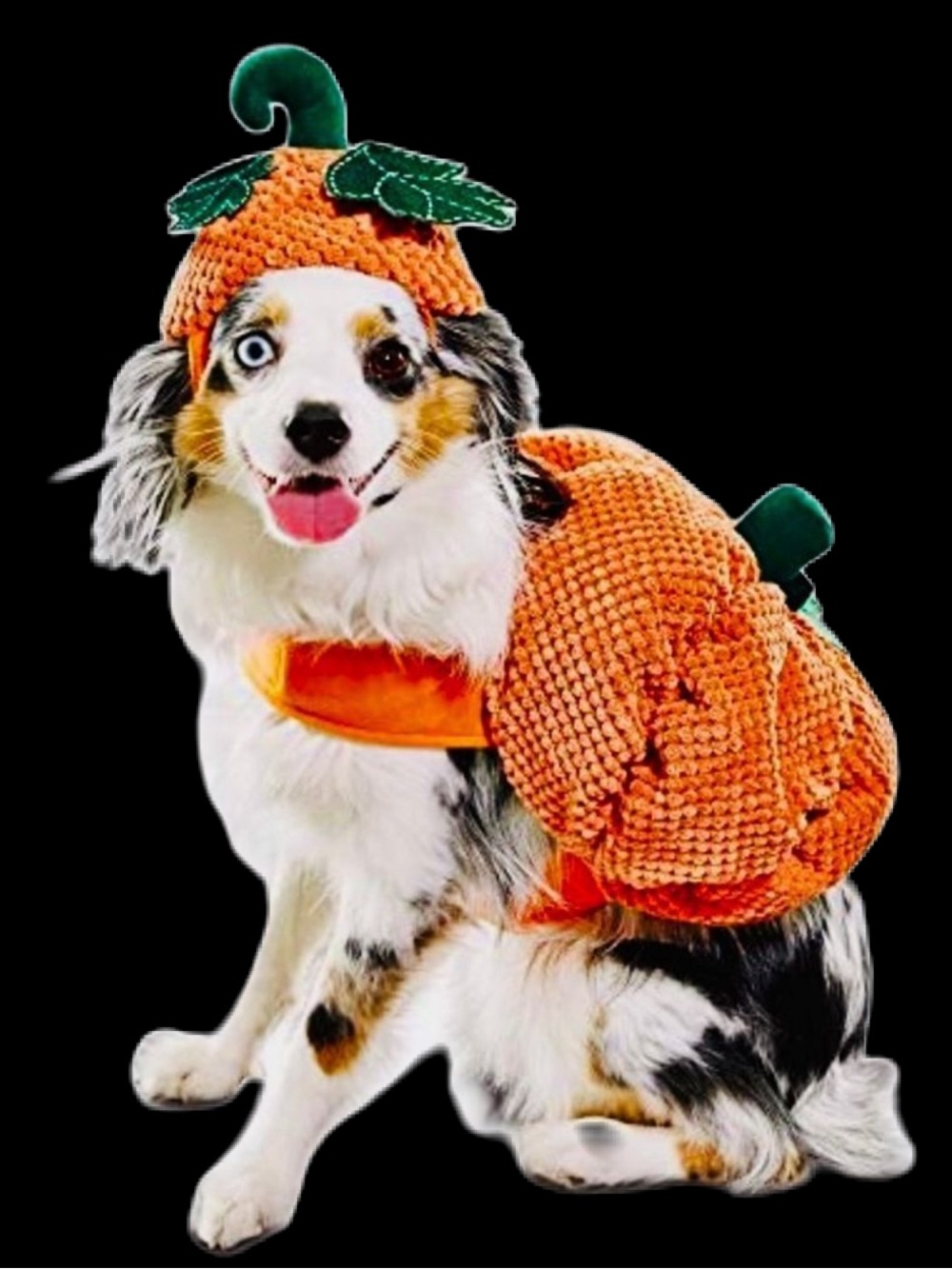 Bootique Orange Pumpkin Dog Costume with Hat XS
